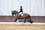 SBM_001164