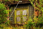 PeaRoydHC-2008-223