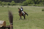 BVHT 140517  IXC -500