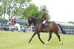 SBM_16248