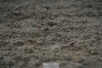 230708A-145820-03948