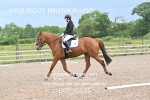 BPP_9335