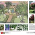 Mary Garden - Landscape