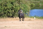 WJ6_6755