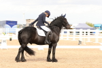 SBM_03881