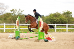 SBM_004773