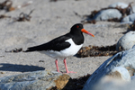 Unst