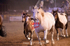 3HRodeo7-12-24_LJD_3HR5335_LJD