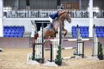 Class 11 - Senior Foxhunter 1.20m portfolio