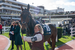 241025-Race 1-The Expensive One-7915