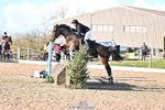 Arena Eventing Sunday 2nd - Click to View portfolio