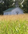 Amity Church