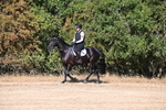 WJ6_6743