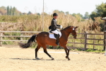SBM_011053