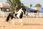 SBM_15743