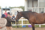 SBM_07883