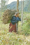 Native Woman - Equador, S.A.