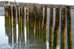 West Wittering - 41
