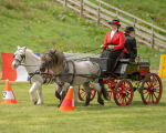 Attelage -948