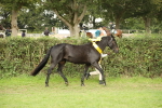 SBM_75359