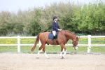 SBM_007237