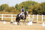 SBM_016556