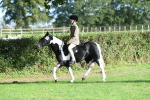 SBM_52090