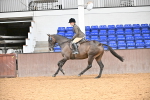 Class 25 - Tattersalls ROR Amateur Ridden portfolio
