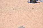 230609A-113420-00584