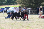 WJ6_8080
