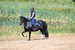 WJ7_8132