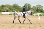 SBM_005906