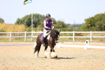 SBM_012338