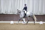 SBM_007295