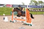 Seavington PC Showjumping Sat 16th - Click to Enter portfolio