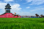 130826-Race 6-Saxon Grace-5397