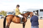 SBM_07373