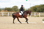 SBM_010145