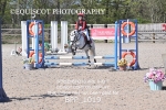 BPP_1019