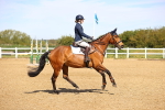 SBM_000897