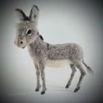 Little Grey Donkey. Photo 1