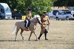 WJ6_7739