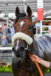 290723-Race 6-Dark Moon Rising-0998
