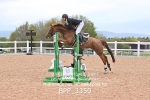 BPP_3350