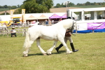 SBM_07149