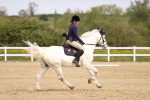 SBM_007478