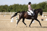 SBM_022689