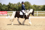 SBM_003739
