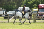 SBM_07649