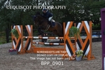 BPP_0901